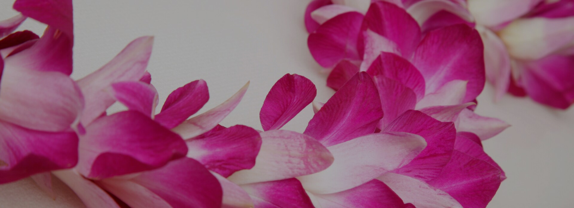 Sagittarius | November 22 - December 21, Shop Now